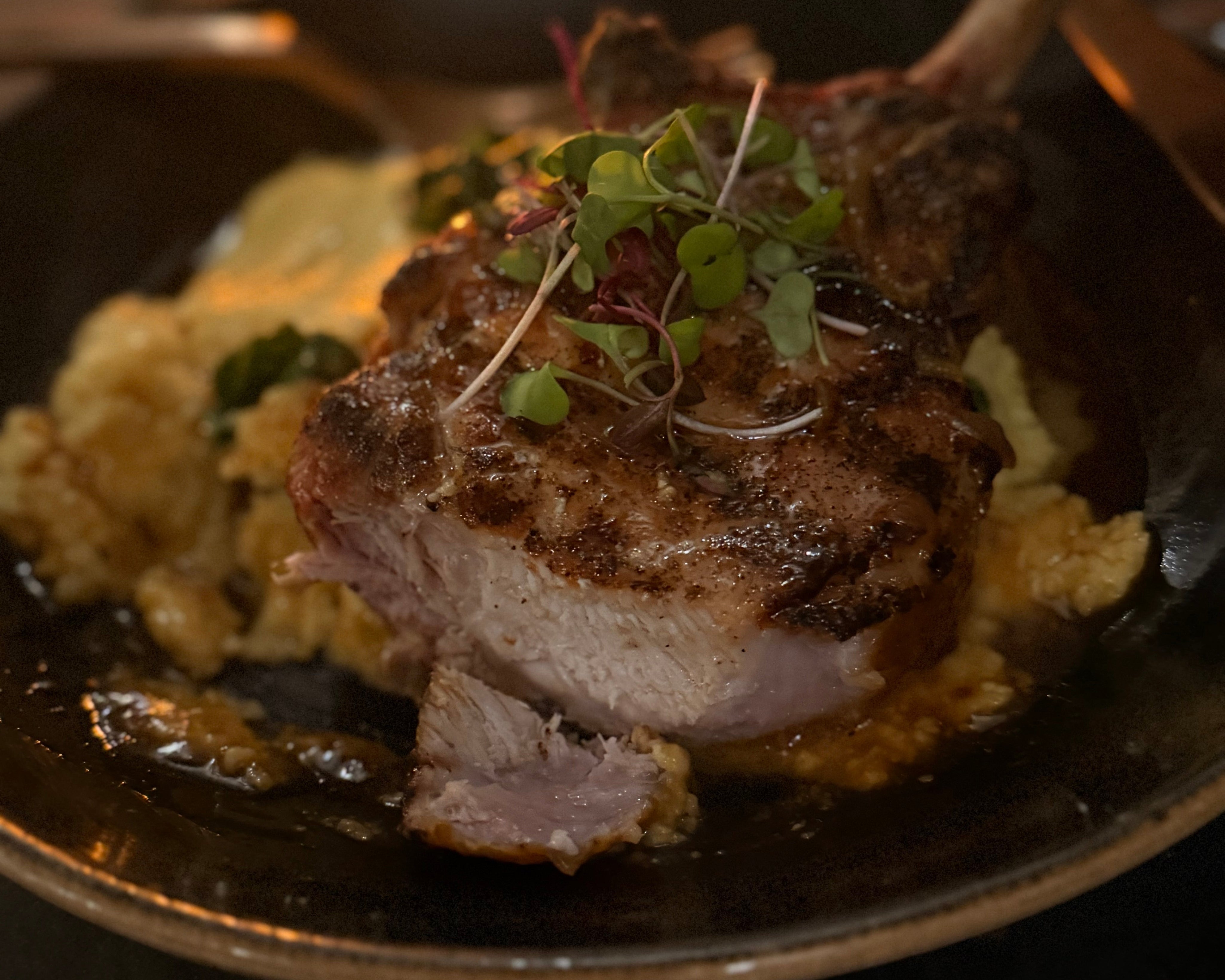 A CRAFT-y Dinner with Views of Harbour Island, Davis Islands and the Hillsborough River