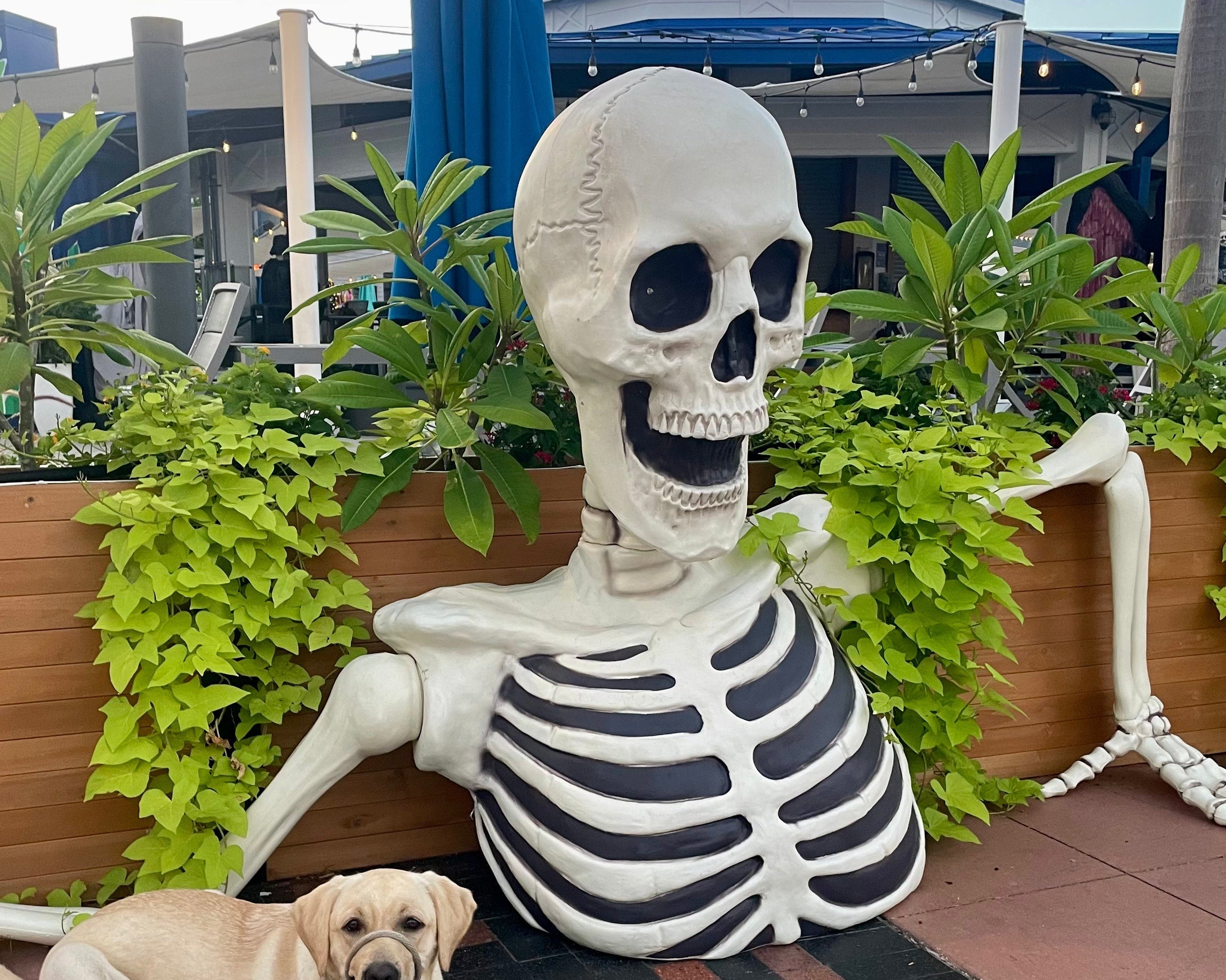 Sail Plaza Spooktacular: Tampa’s Waterfront Gets Wicked Early