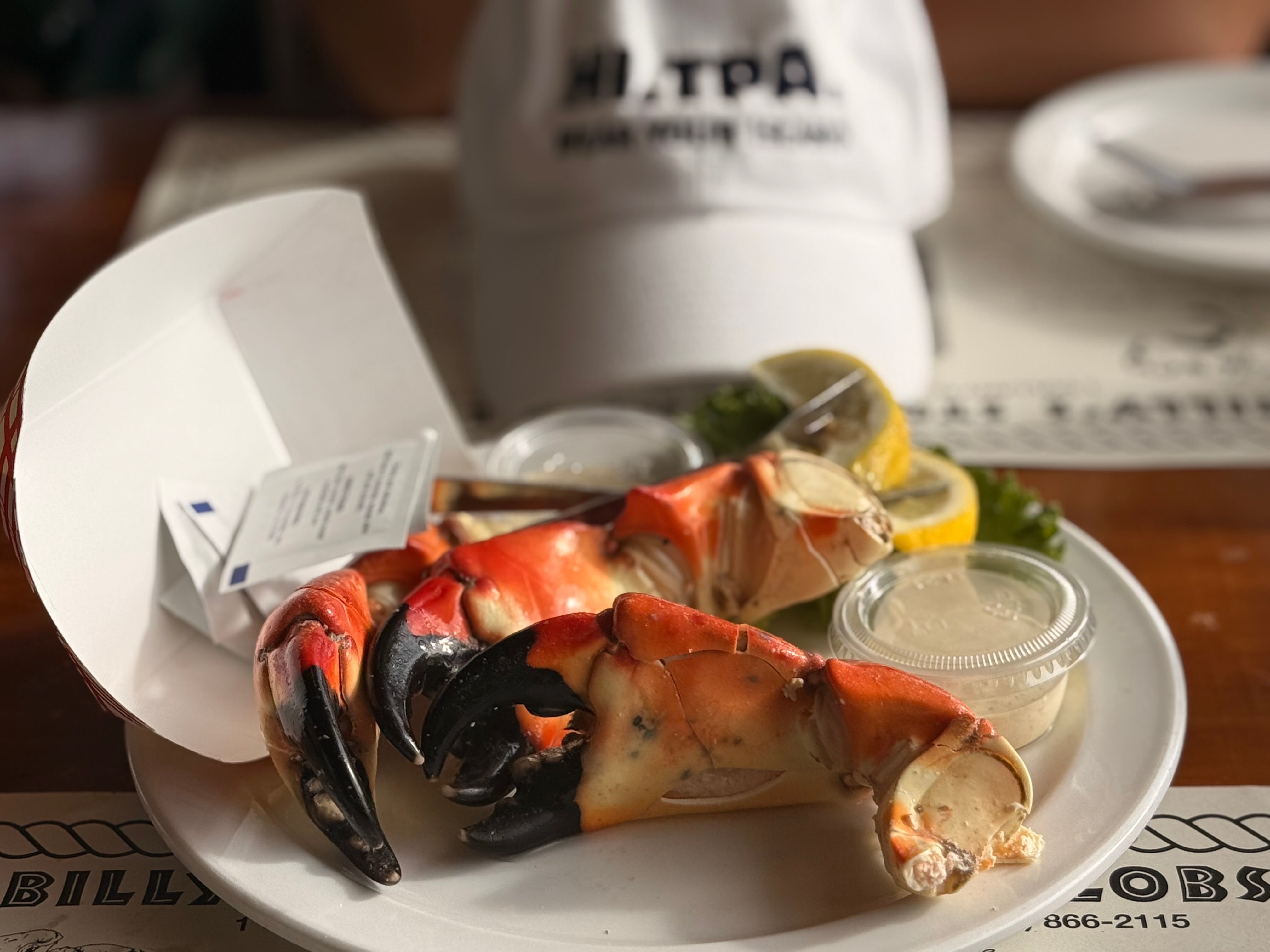 Y’all — It’s Florida Stone Crab Season! 🦀