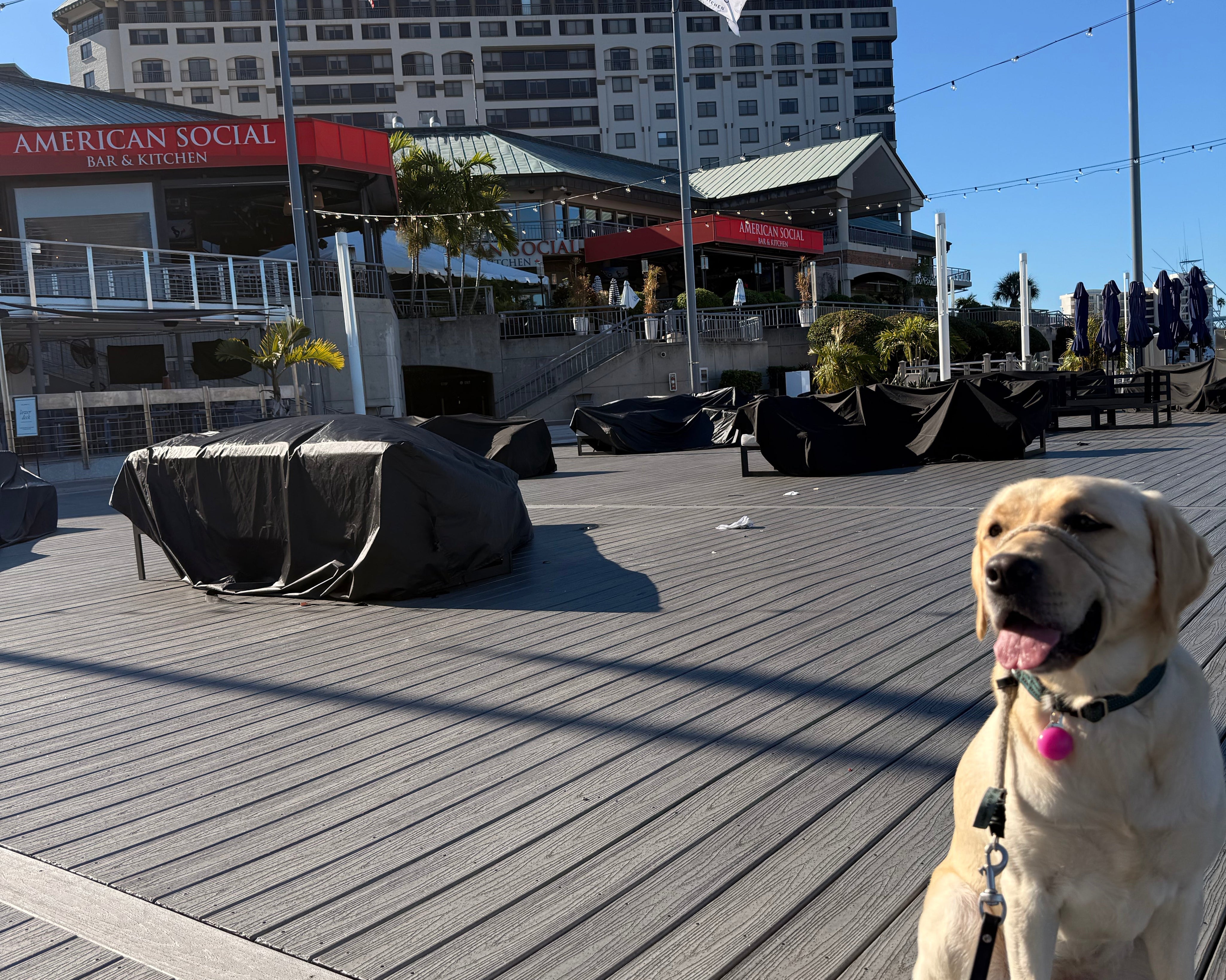 Westin Tampa Waterside on Harbour Island Just Sold