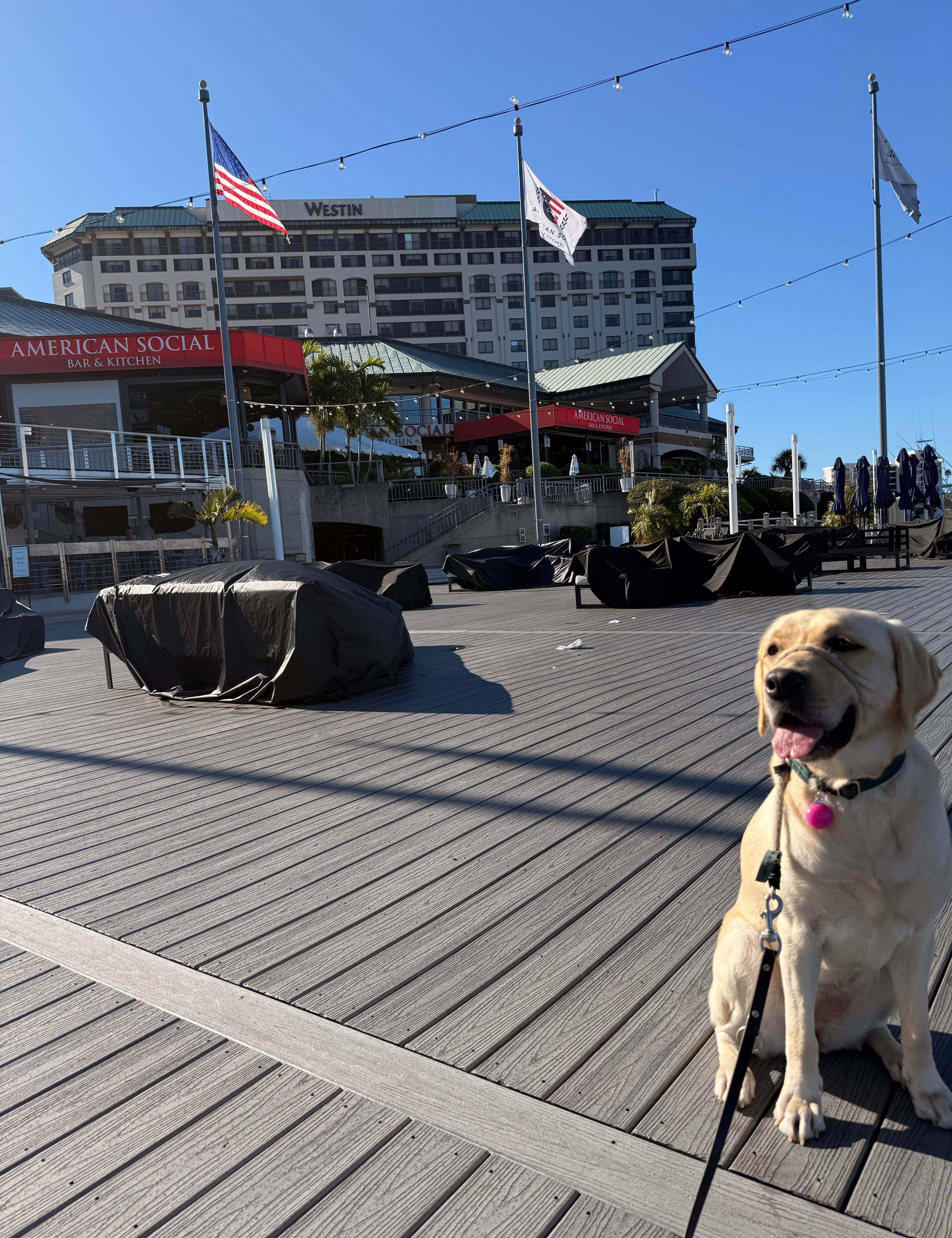 Westin Tampa Waterside on Harbour Island Just Sold