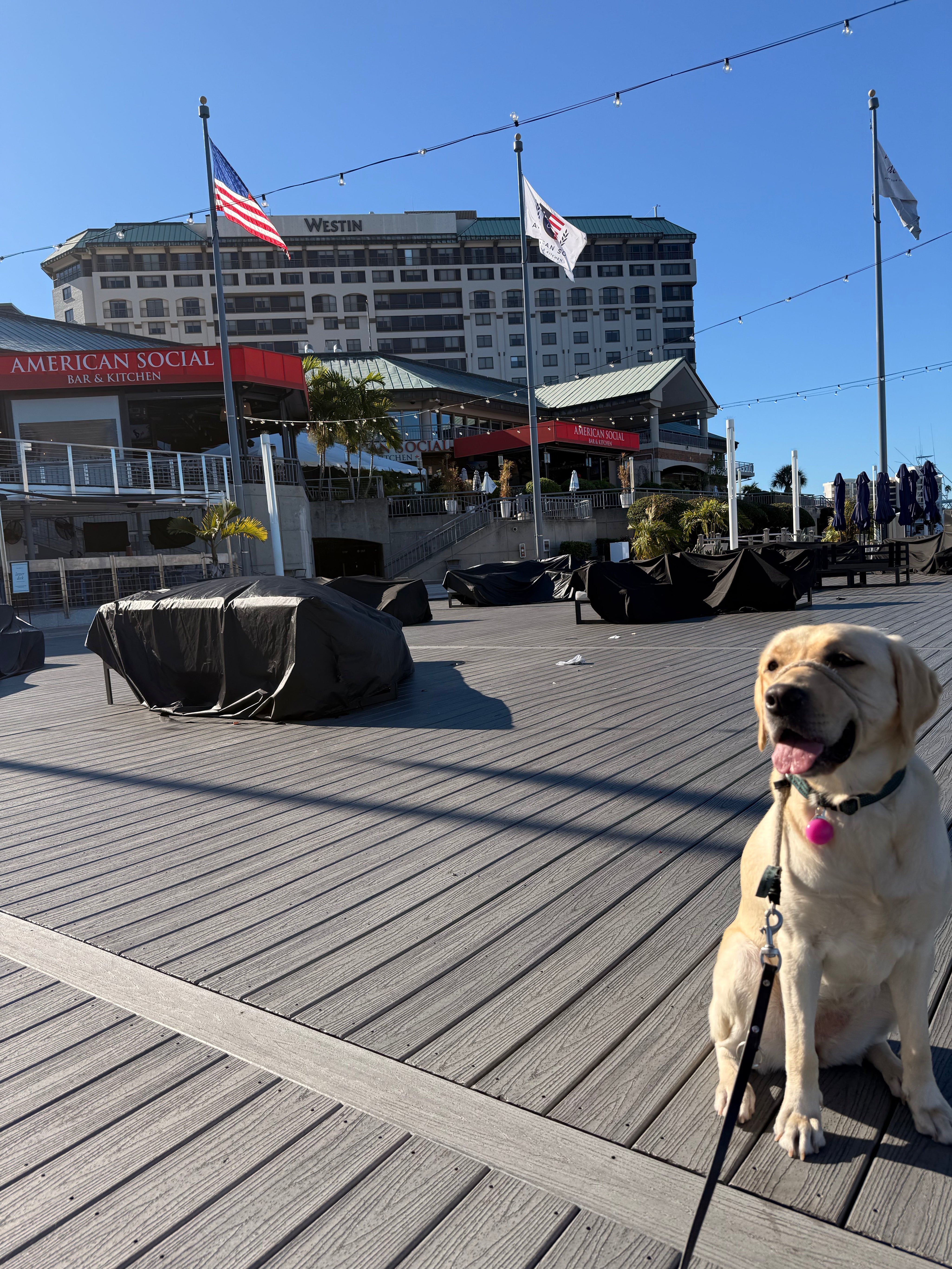 Westin Tampa Waterside on Harbour Island Just Sold